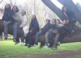 ingrandisci le veline